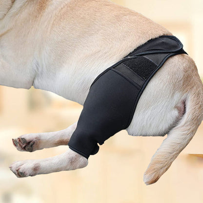 Pet Thigh Protective Sleeve Surgical Recovery Protection Joint Leggings
