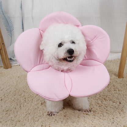 Beauty flower anti-scratch pet protective cover