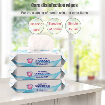 Cleaning Wipes – 3 Pack