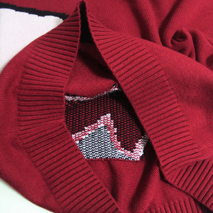 Spring New Year red pig sweater