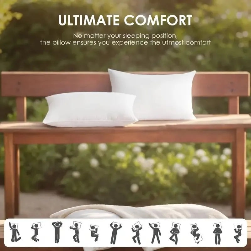 Throw Pillows, 2pack