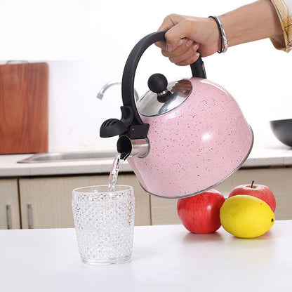 2.5L Spray Color Sprinkling Sound Pot Cross-Border Kitchen Supplies Stainless Steel Whistle Pot Gas Universal Boiling Kettle
