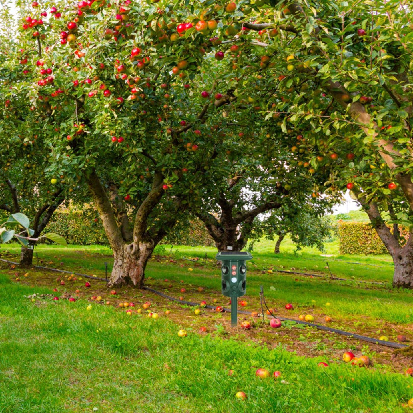 Solar Ultrasonic Animal Repeller Solar Powered Animal Repellent Chaser With PIR Motion Sensor IP54 Waterproof Sound Flashing Light For Deer Raccoon Squirrel Mice Snakes Cat Dog