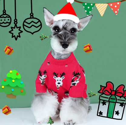 20 Year New Dog Cat Fadou Chenery Teddy Winter Thickened
