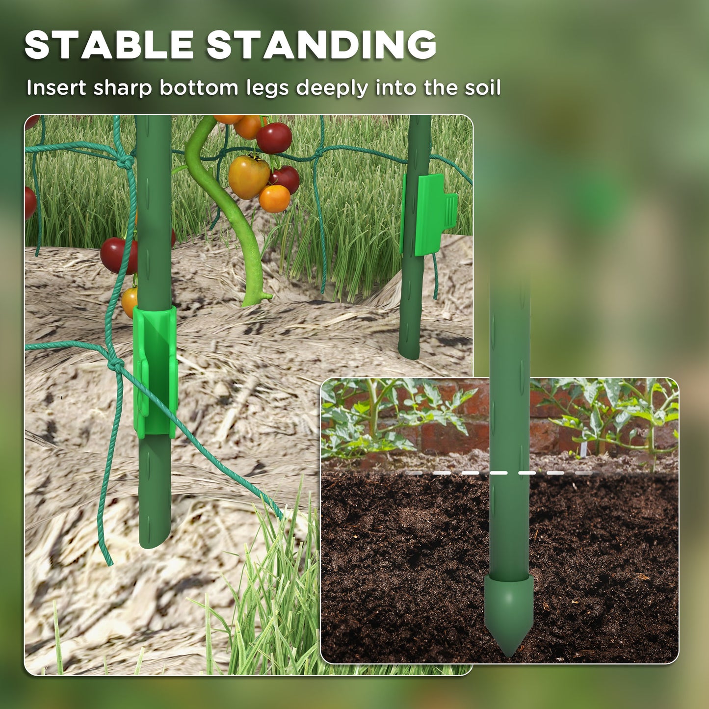 Garden Trellis