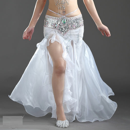 Belly Dance Performance Wear