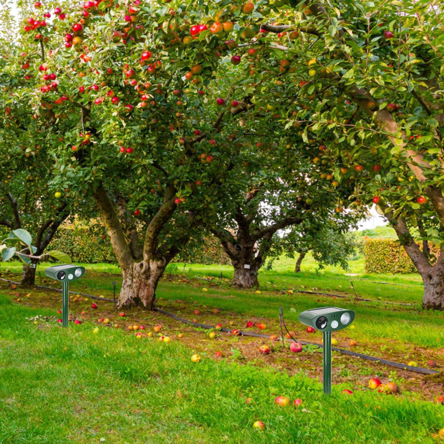 1Pc Solar Ultrasonic Animal Repeller PIR Sensor Animal Repellent Chaser With Flashing Light IPX4 Waterproof For Chasing Deer Raccoon Squirrel Rat Skunk Rabbit Mole Dog Cat Snake