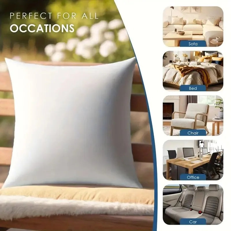 Throw Pillows, 2pack