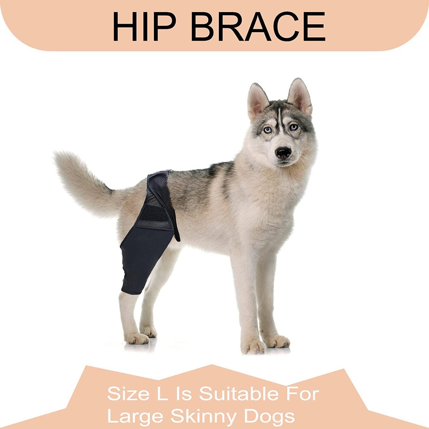 Pet Dog Front And Rear Leg Fracture Fixed Protective Gear