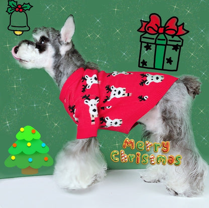20 Year New Dog Cat Fadou Chenery Teddy Winter Thickened