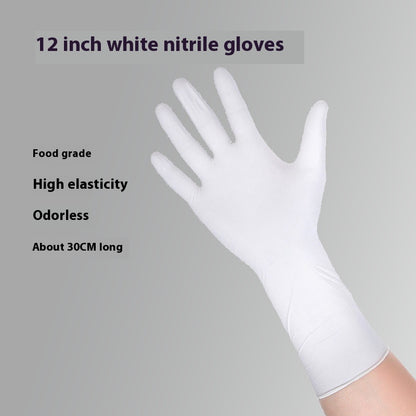 Disposable Dishwashing Gloves – Multiple Sizes & Packs