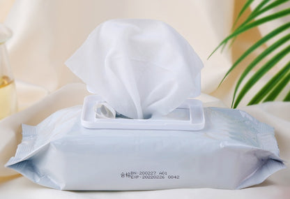 75% Alcohol Wipes – 50 Pack