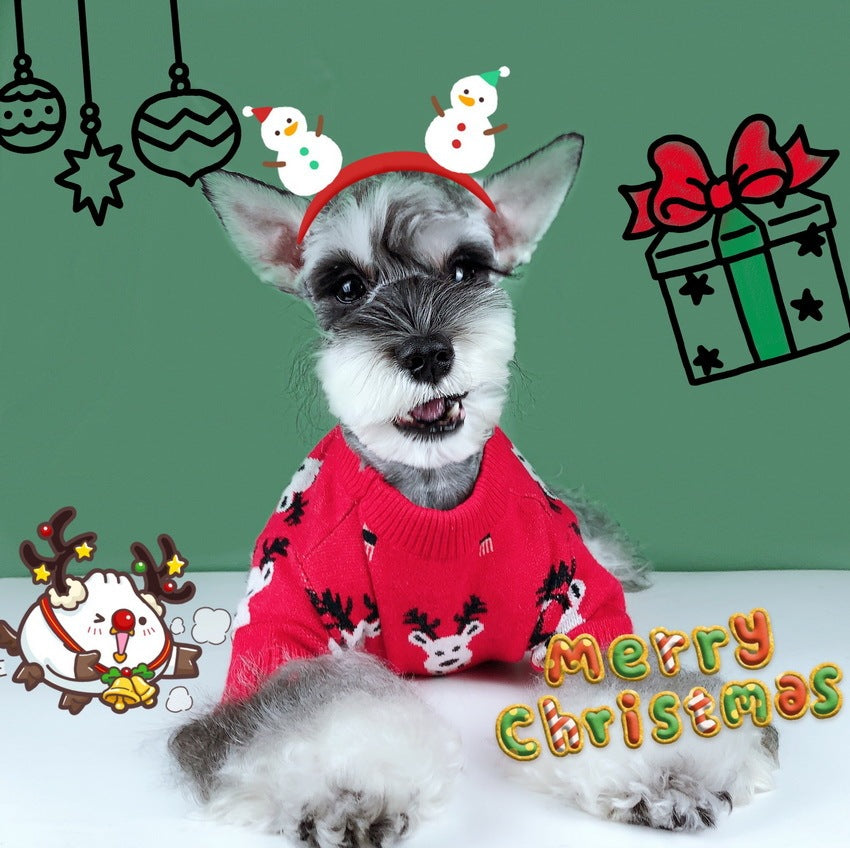 20 Year New Dog Cat Fadou Chenery Teddy Winter Thickened