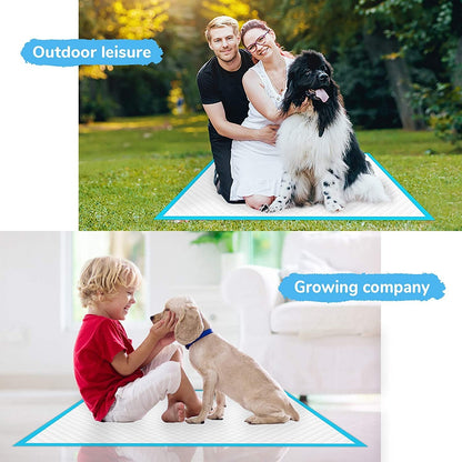 Disposable Pet Training Pads – Multiple Pack Sizes