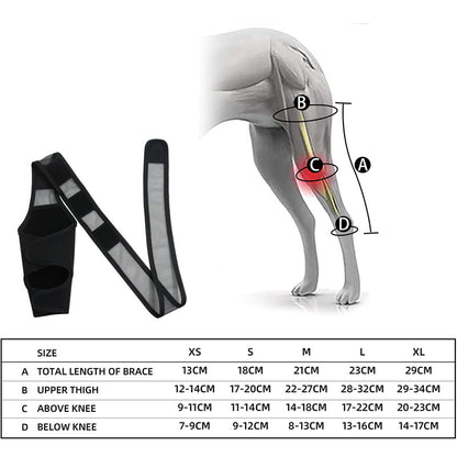 Pet Dog Front And Rear Leg Fracture Fixed Protective Gear