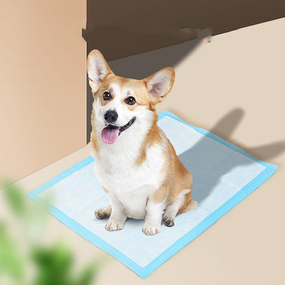 Absorbent Dog Training Pads