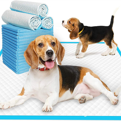 Disposable Pet Training Pads – Multiple Pack Sizes