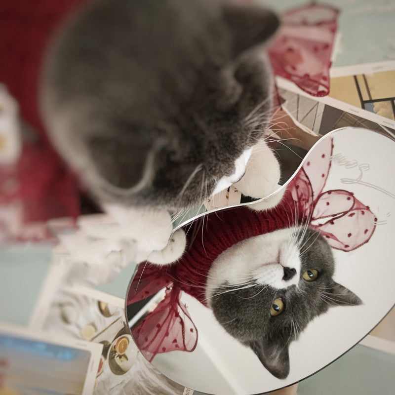 Pet Super Cute Sweater Warm In The New Year