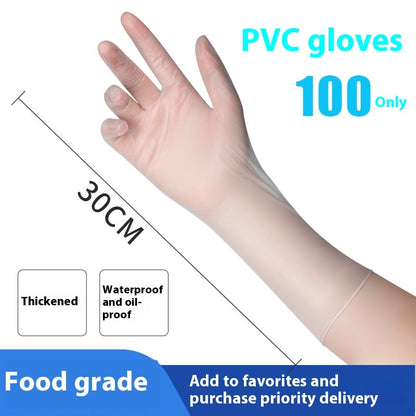 Disposable Dishwashing Gloves – Multiple Sizes & Packs