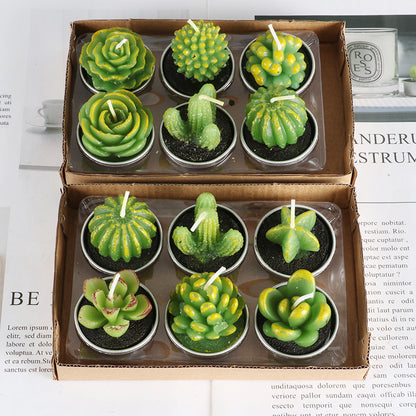 Simulated Succulent Candle Aromatherapy