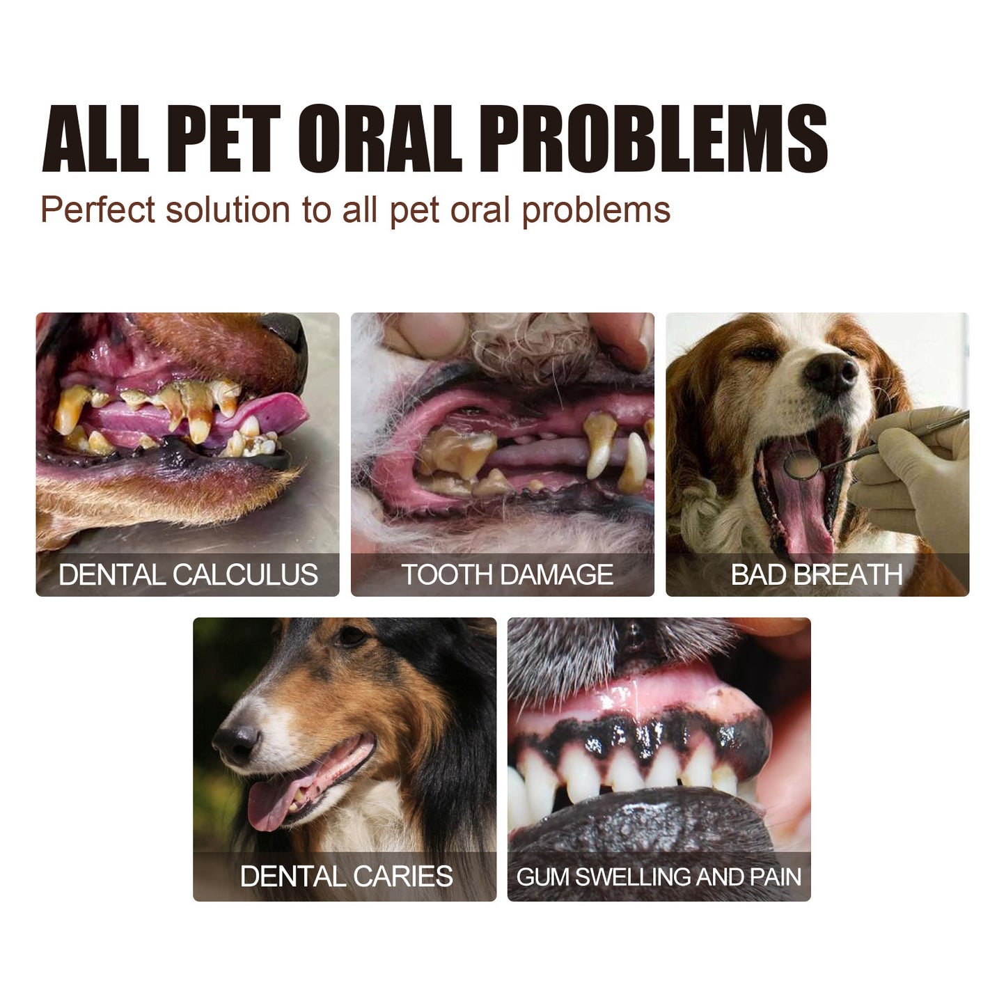 Pet Tooth Cleaning Spray