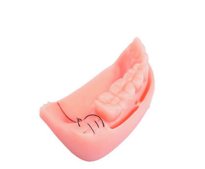 Medical Teaching Oral Suture Training Module