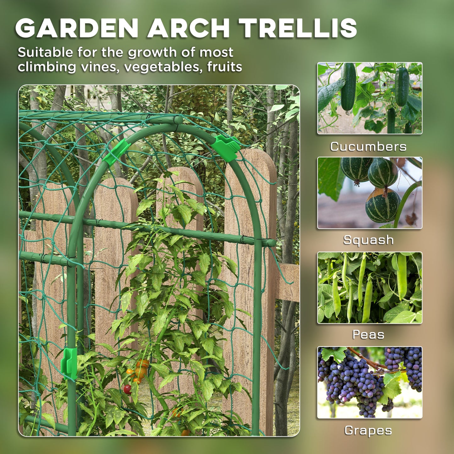 Garden Trellis