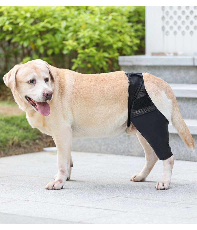 Pet Joint Protector Fracture Disability Fixed Knee Pad Leg Auxiliary Strap Dog Postoperative Protective Cover