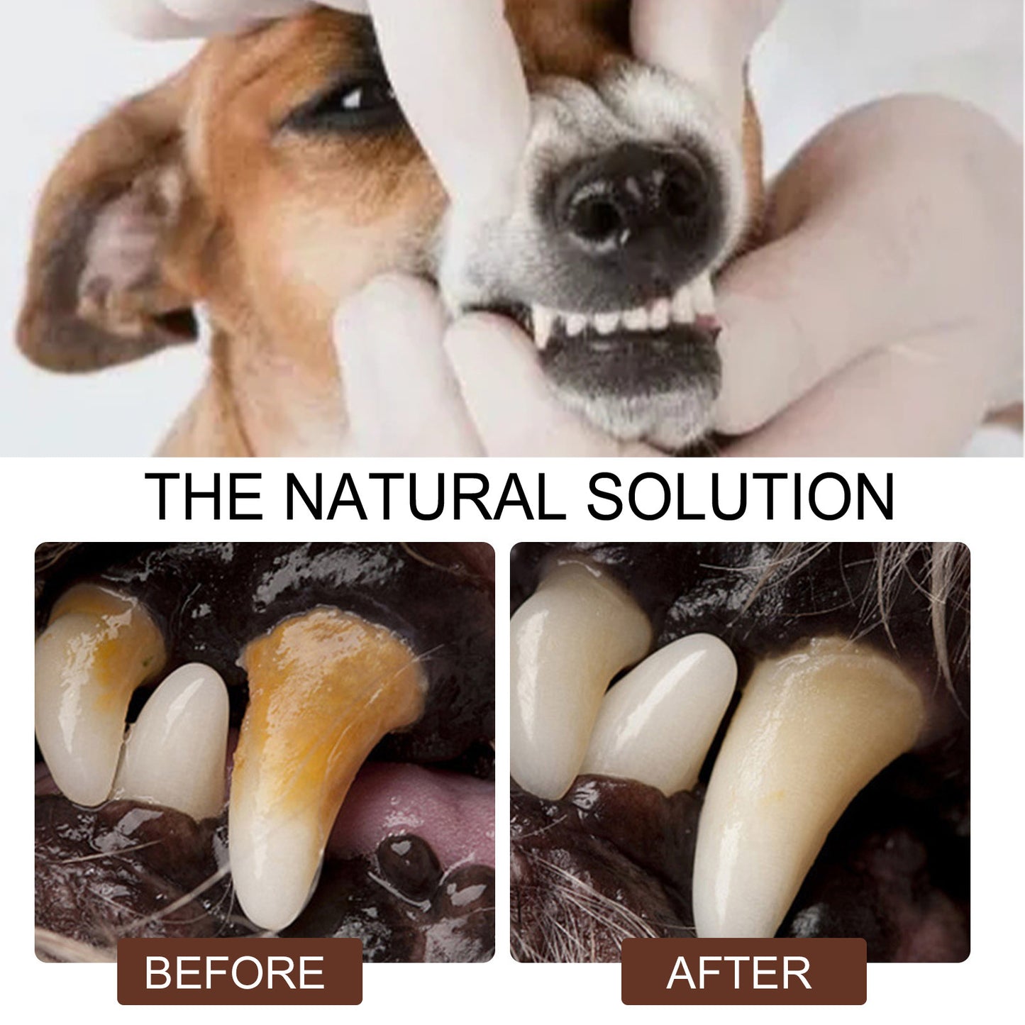 Pet Tooth Cleaning Spray