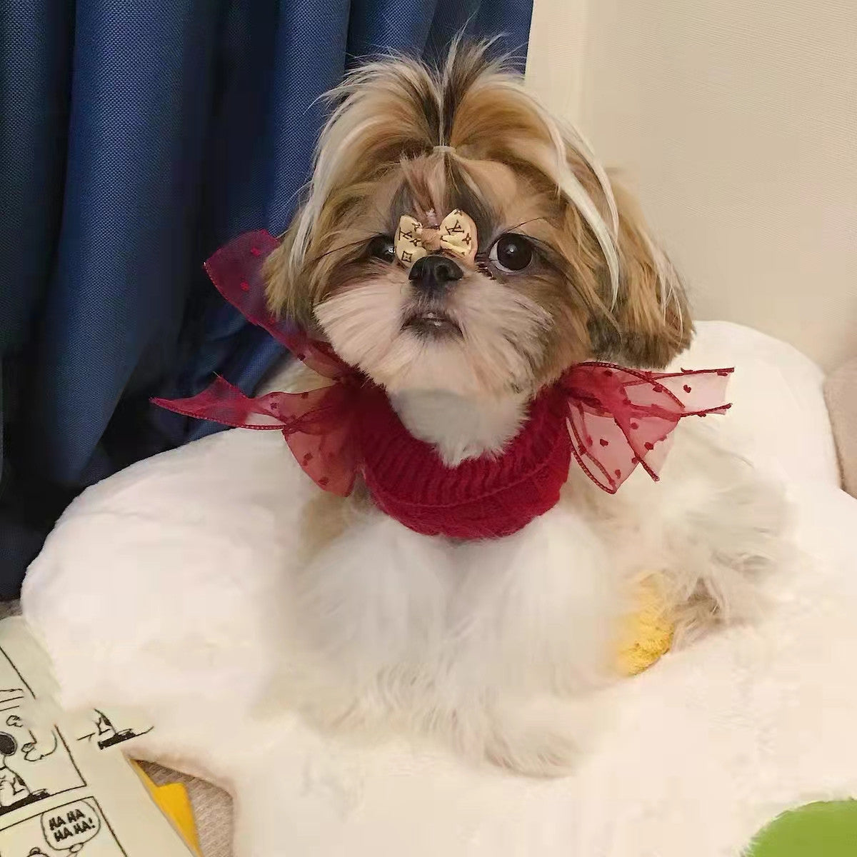 Pet Super Cute Sweater Warm In The New Year