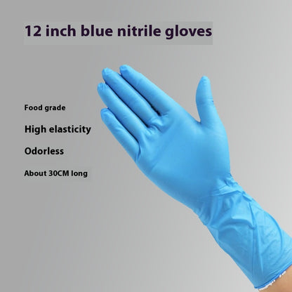 Disposable Dishwashing Gloves – Multiple Sizes & Packs