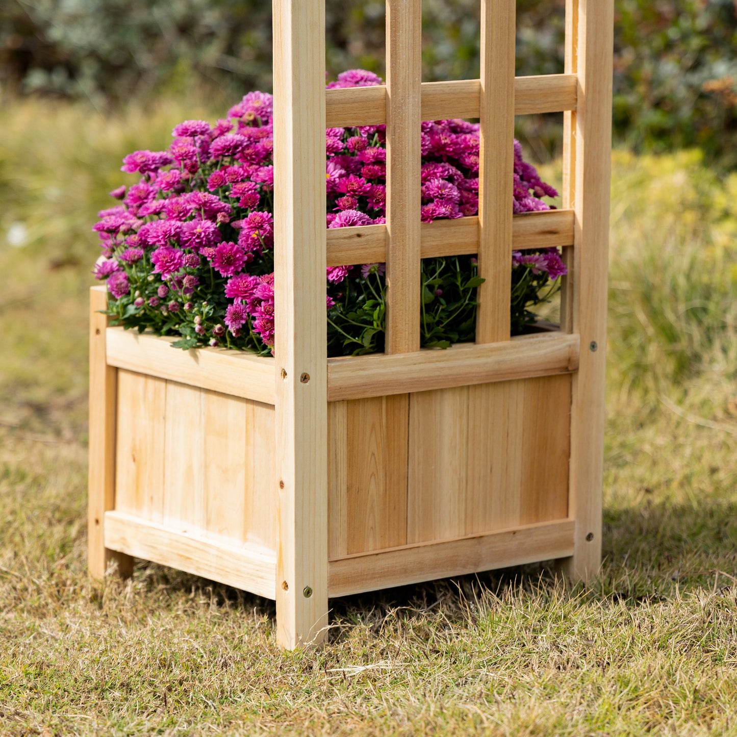 Raised Garden Bed with Trellis