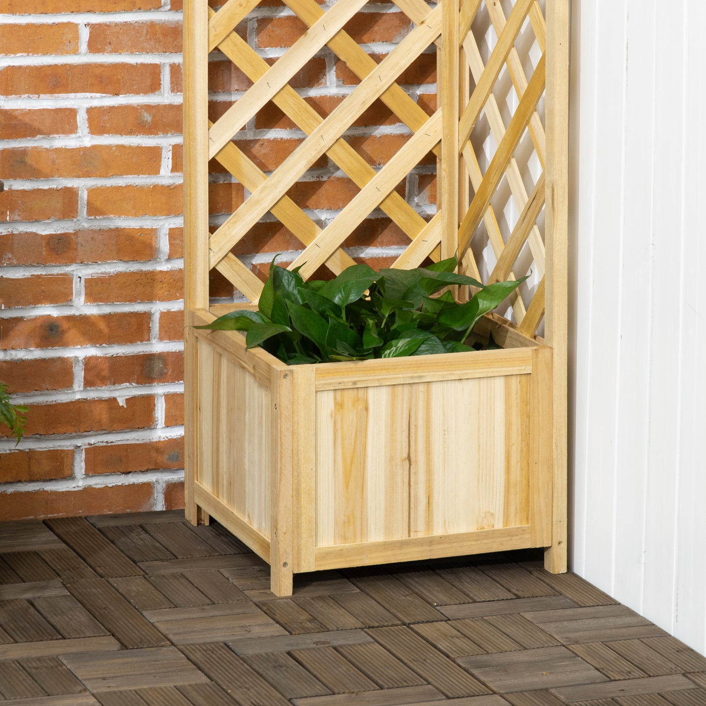 Raised Garden Bed