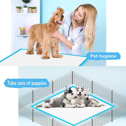 Disposable Pet Training Pads – Multiple Pack Sizes