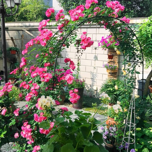 2.4M Garden Climbing Plant Arch