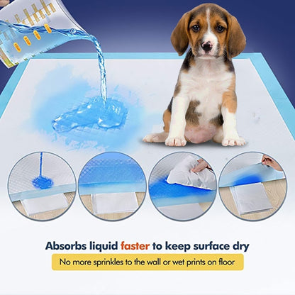 Absorbent Dog Training Pads