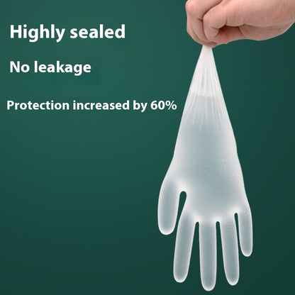 Disposable Dishwashing Gloves – Multiple Sizes & Packs